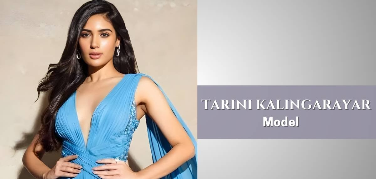 Tarini Kalingarayar: Age, Family, Father, Wedding, Career, Net Worth And More